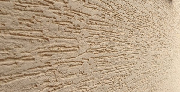 Короед кварц