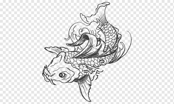 Эскиз рыбы на прозрачном фоне
