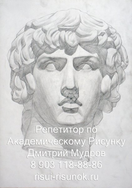 Голова Антиноя гипс