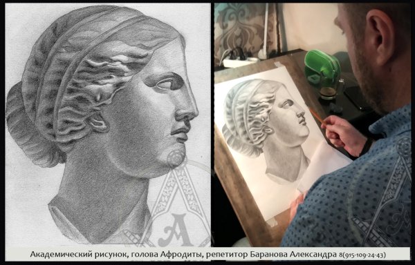 Гипсовая голова Антиноя МАРХИ