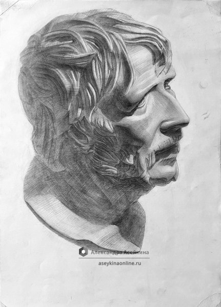 Антиной линейно конструктивный рисунок