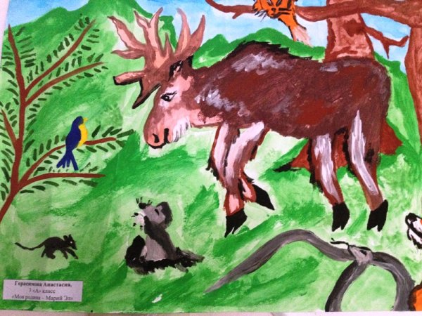 Рисунки природы Марийского края