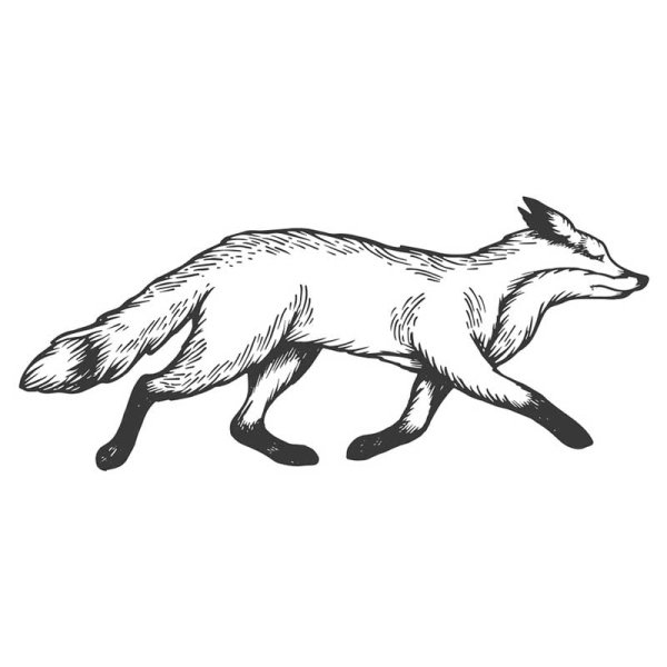 Хромая лиса