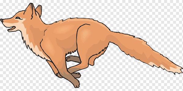 Очертания лисы