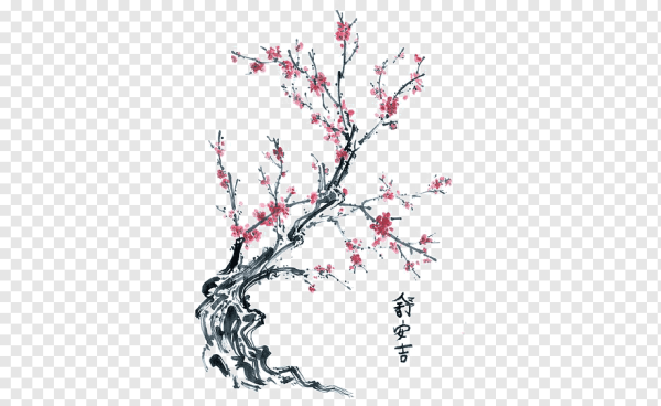 Дерево Сакуры эскиз