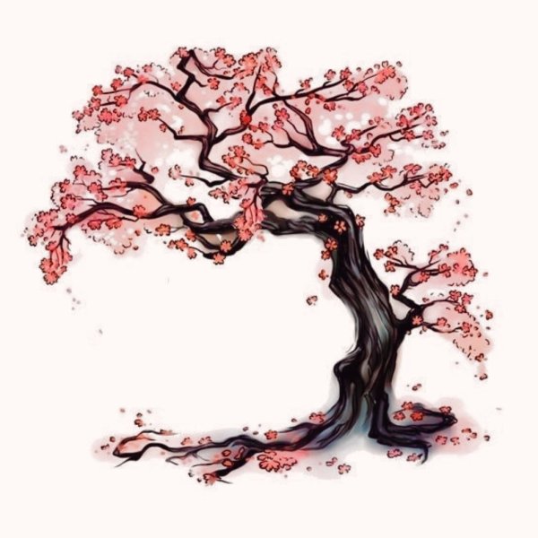Дерево Сакуры эскиз