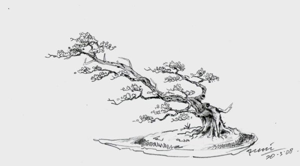 Японское дерево карандашом