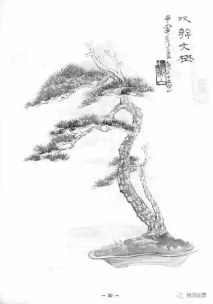 Японское дерево рисунок