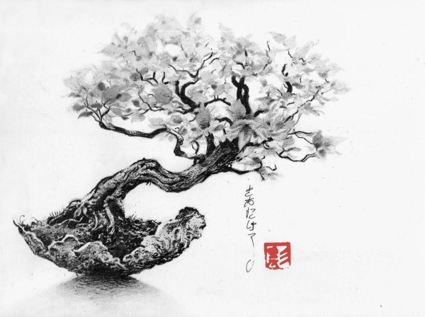 Банзай дерево тату Япония