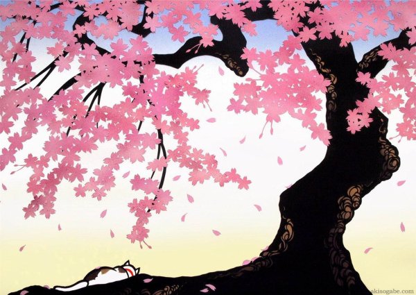 Сакура силуэт