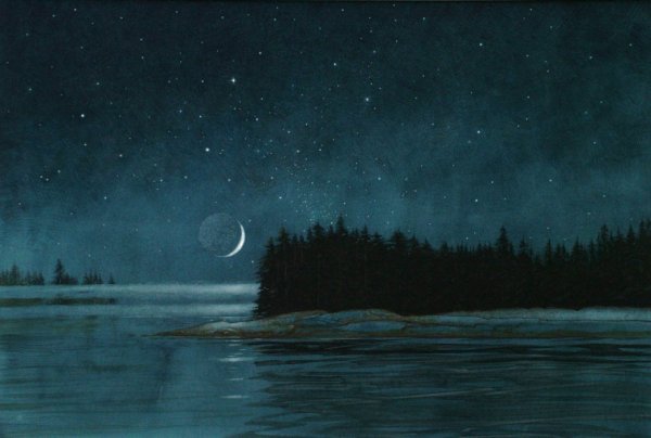 Ноктюрн Бородина