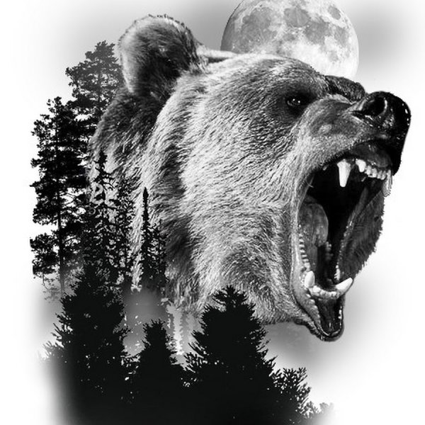 Изображение медведя с оскалом