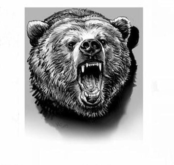Медвежий оскал тату эскиз