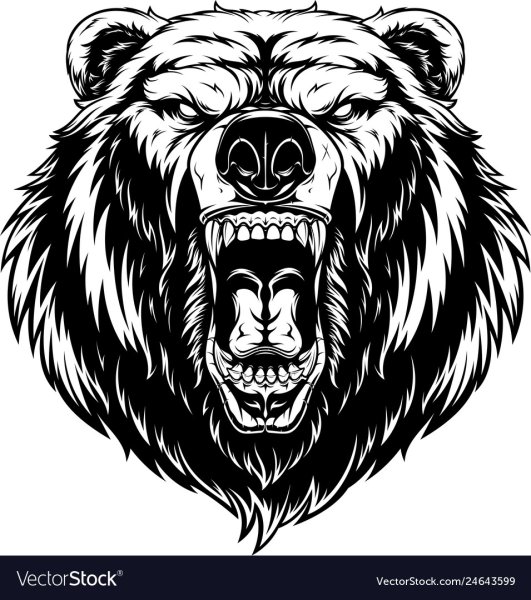 Оскал медведя тату эскиз