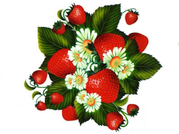 Куст клубники