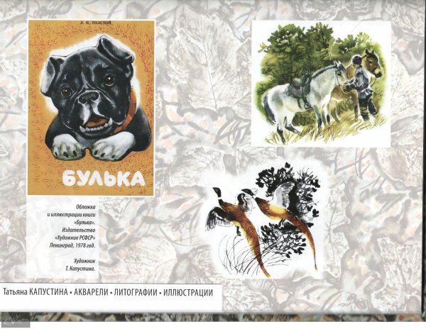Толстой Булька обложка книги