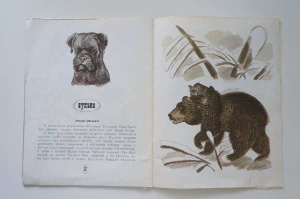 Иллюстрация к рассказу Булька Толстого