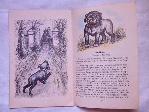 Рассказ л.н.Толстого Булька