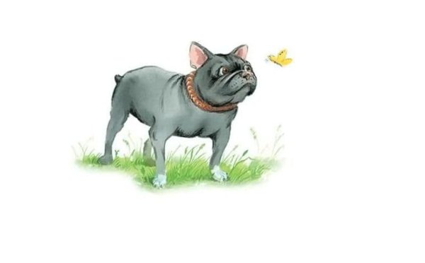 Толстой л. "Булька"