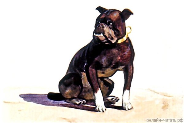 Собака раскраска для детей