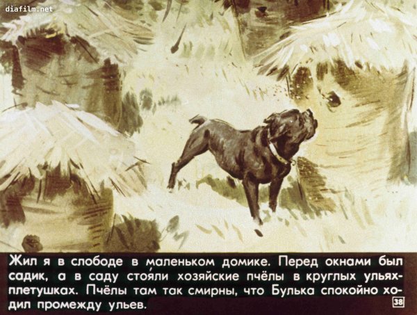 Толстой л. "Булька"