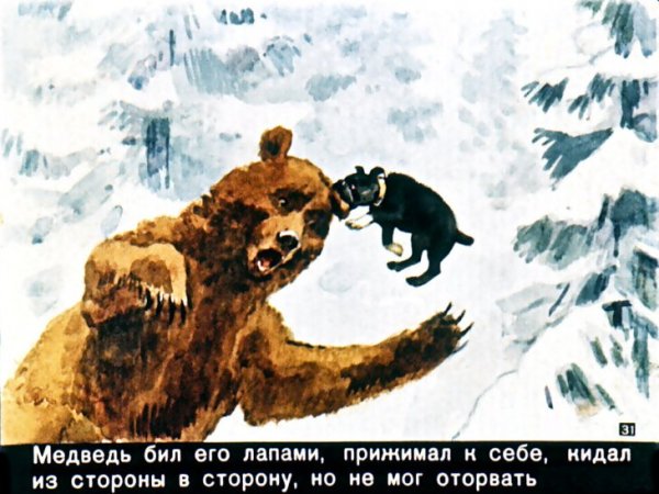 Булька рисунок