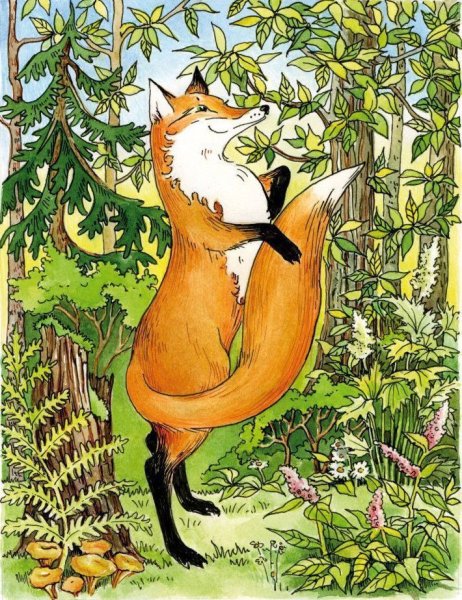 Сказочная лиса