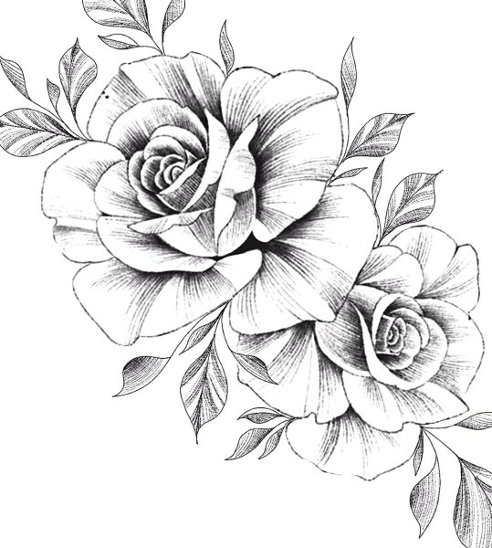 Тату роза эскиз