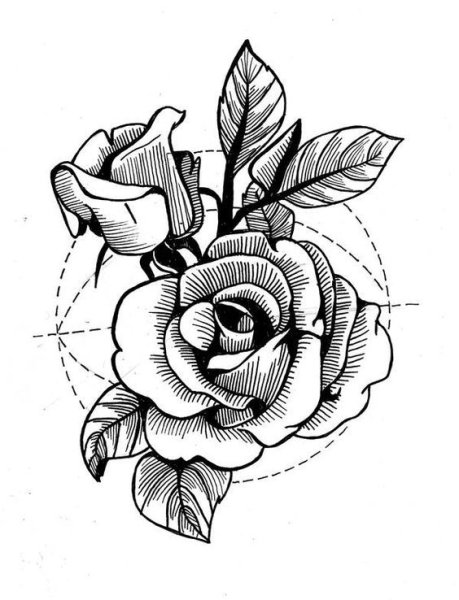 Тату роза эскиз