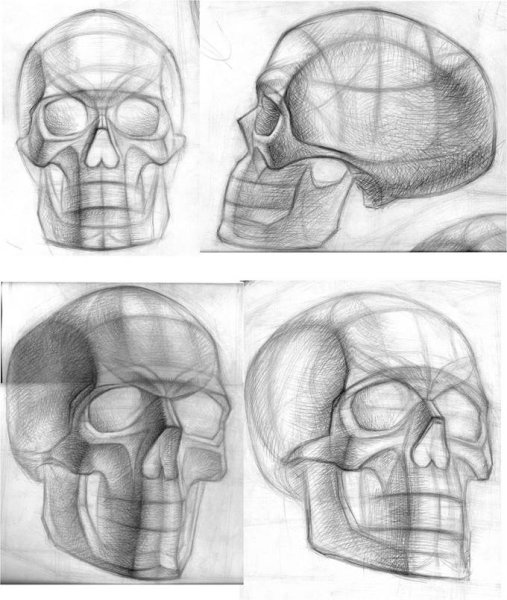 Готфрид Бамес обрубовка черепа