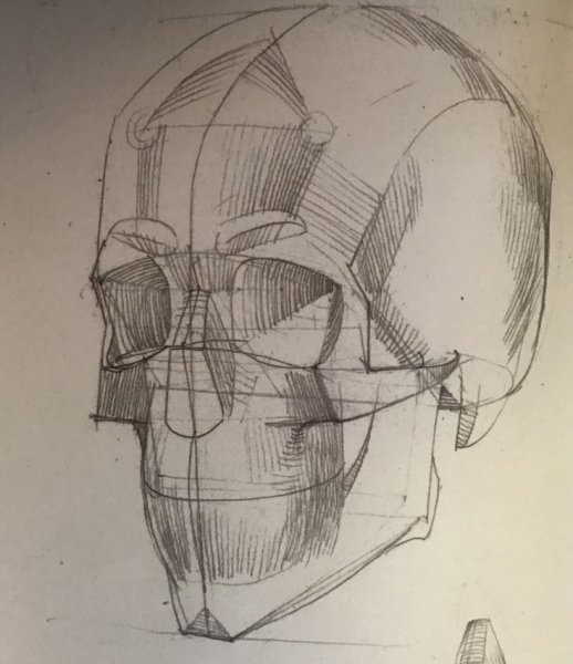 Готтфрид Баммес череп