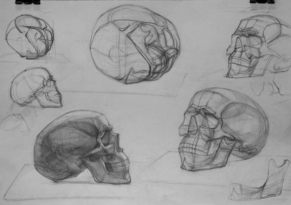 Череп человека Академический рисунок МАРХИ