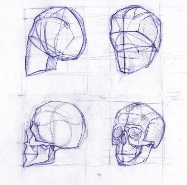 Готфрид Бамес обрубовка черепа