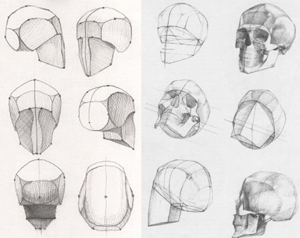 Построение головы человека Баммес