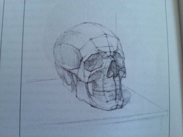 Академическое построение черепа