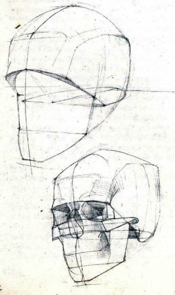 Баммес анатомия человека голова