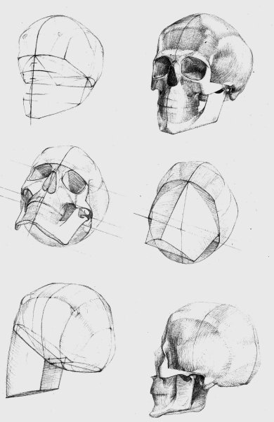 Баммес Готфрид голова человека
