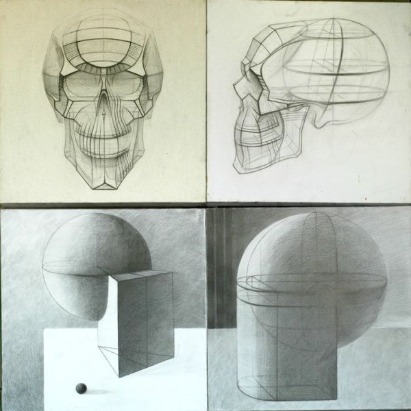 Обрубовка черепа Академический