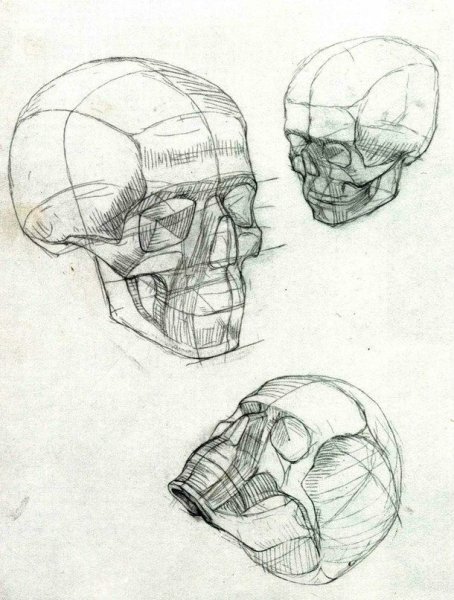 Готфрид Баммес