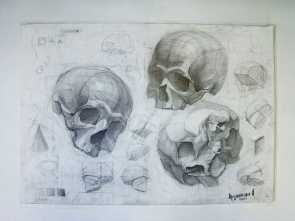 Академический рисунок черепа Академия художеств