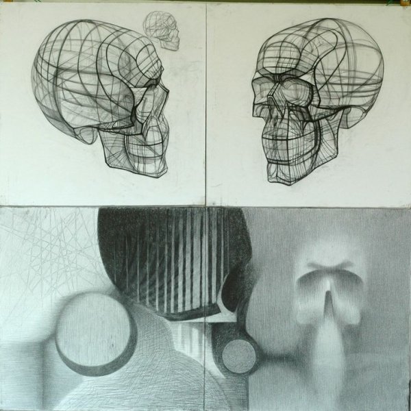 Готфрид Баммес анатомия головы