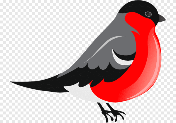 Снегирь для детей