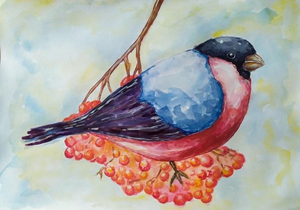 Птицы Башкирии