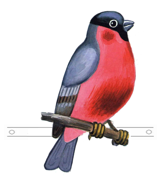 Снегирь рисунок для детей