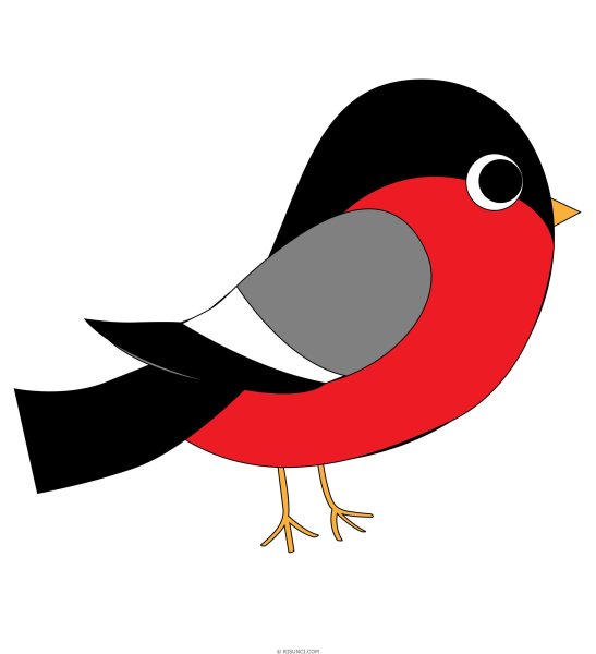 Снегирь для детей