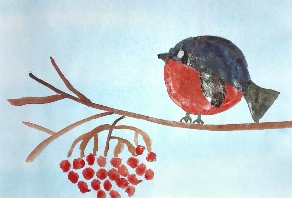 Рисование в старшей группе на тему зимующие птицы Снегирь
