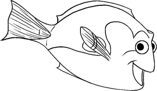 Дори карандашами сбоку