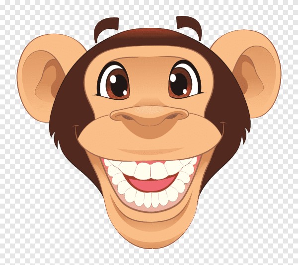 Мордочка обезьяны