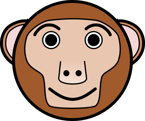 Мордочка обезьяны