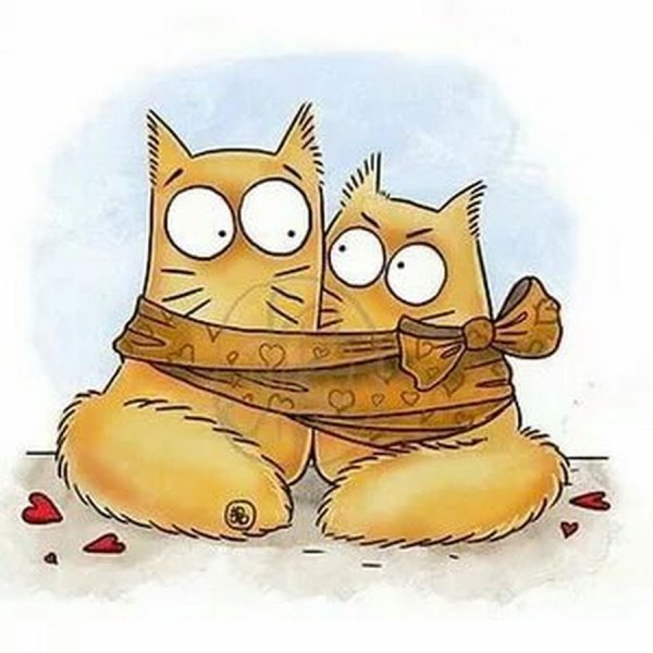 Мультяшные котики пара